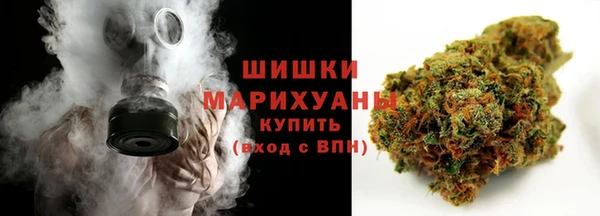 сатива Арсеньев