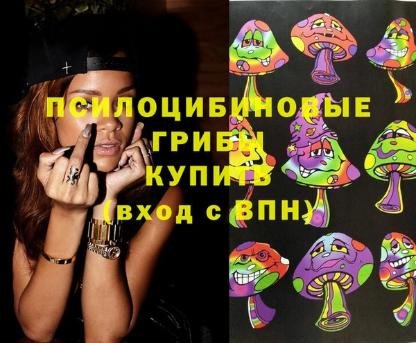 сатива Арсеньев