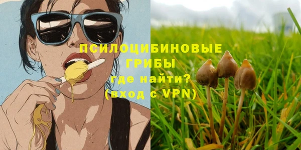 сатива Арсеньев