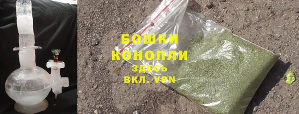 сатива Арсеньев