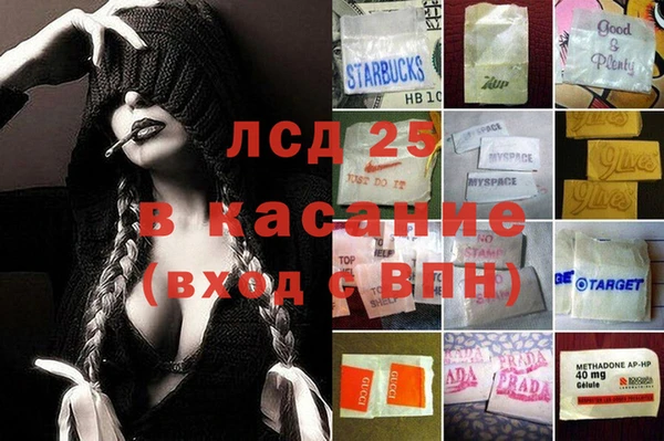 сатива Аркадак