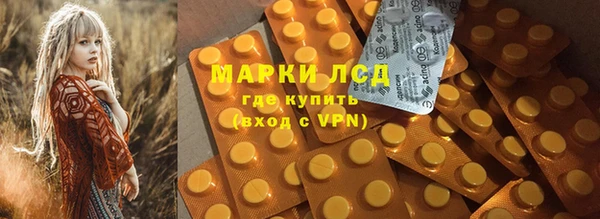 сатива Аркадак