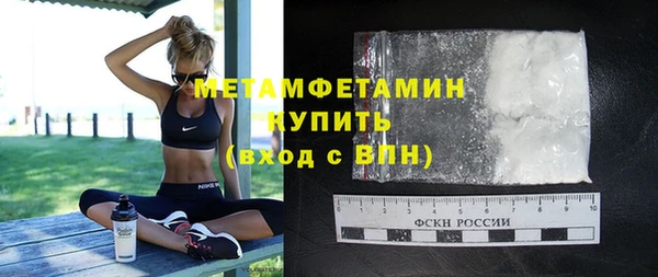 сатива Аркадак
